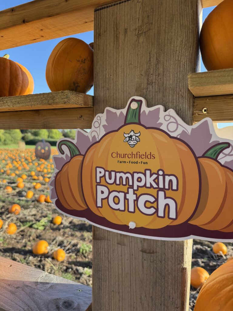 Marchwood Marketing at Churchfields Farm Pumpkin Patch