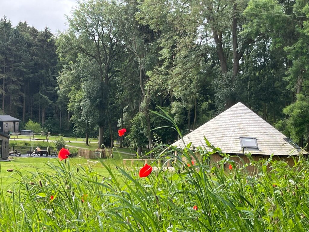 Riverside Cabins View of The Nest